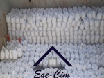 Ege Çim Çimento